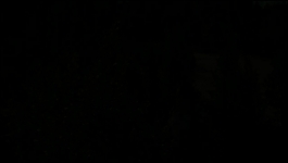 Troppo - Season 02 Episode 08